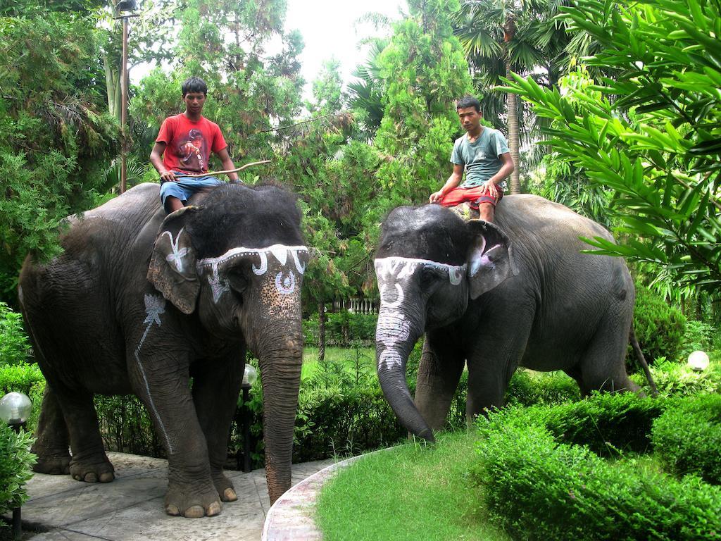 Jungle Safari Resort Саураха Экстерьер фото