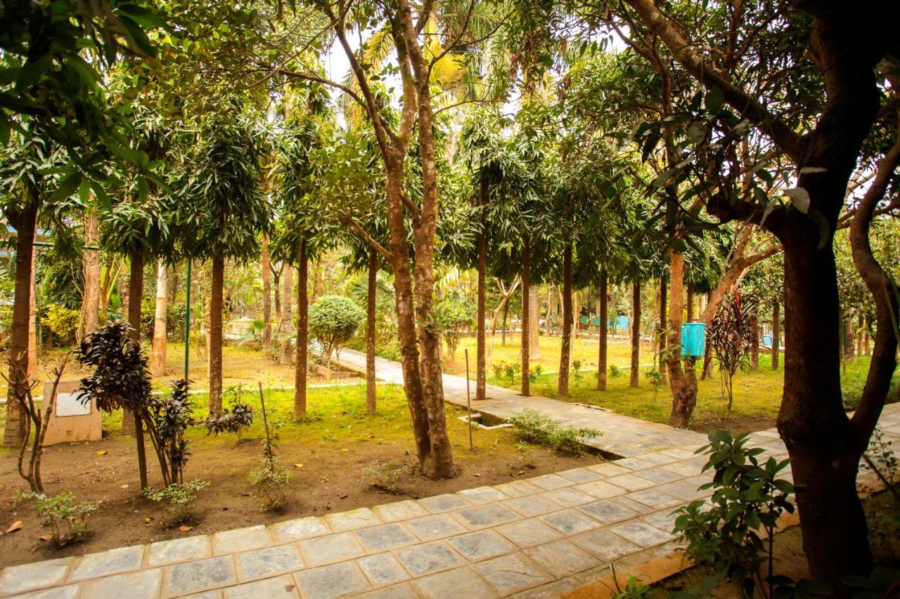 Jungle Safari Resort Саураха Экстерьер фото